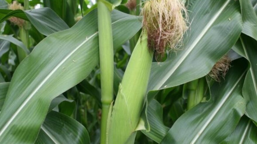 Zbrajanje šteta od poplava