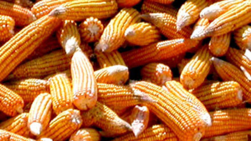 Za istraživačke projekte u poljoprivredi 943.500 kuna