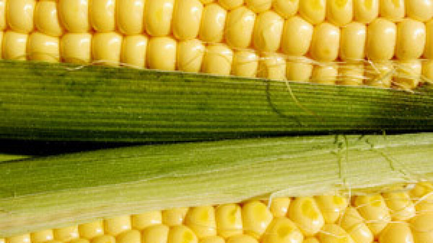 Globalne cijene hrane i dalje skupe