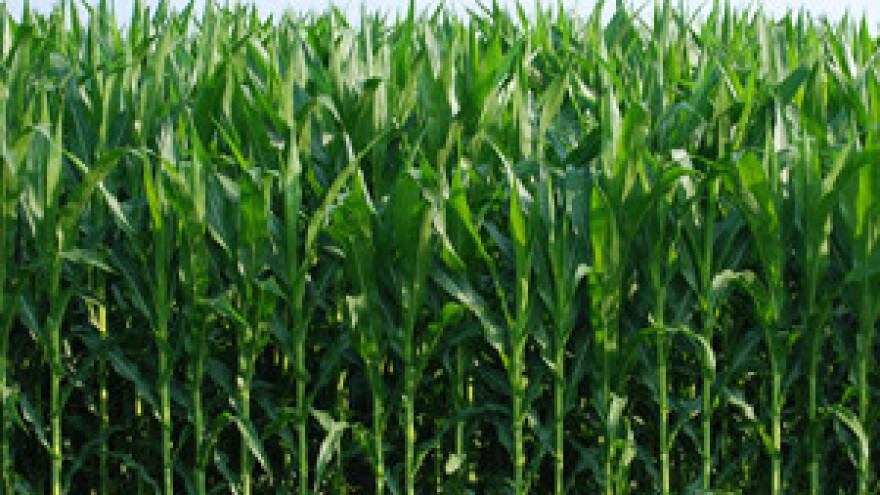 Spas od poplava i suše u Baranji