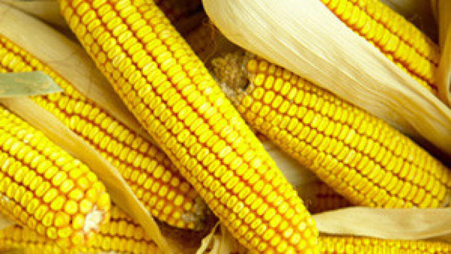 U Hrvatsku uvezeno hrane za 1,1 milijardu dolara