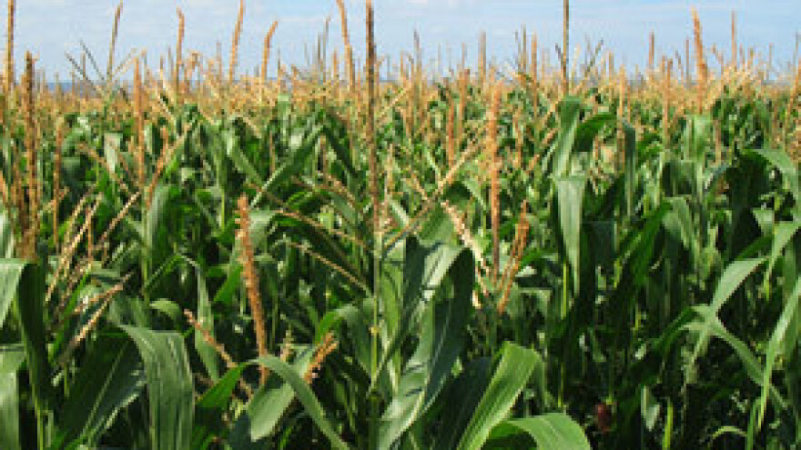 Bioelektrana na organski plin u industrijskoj zoni Janjevci