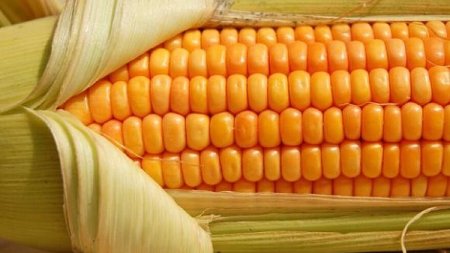 2. Syngentino savjetovanje