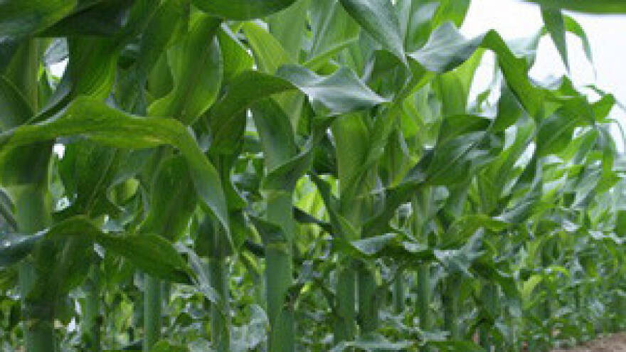 Administracija koči uspješne poljoprivrednike?