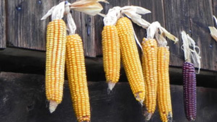 Nove mjere ministra Jakovine