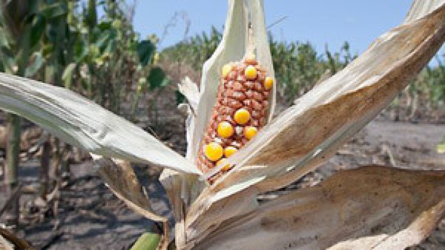 Jakovina se ili pravi lud, ili se boji Milanovića