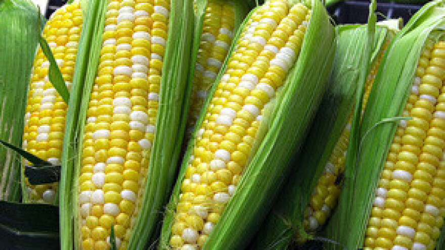 Jakovina o uredbi za uvozne i izvozne carine