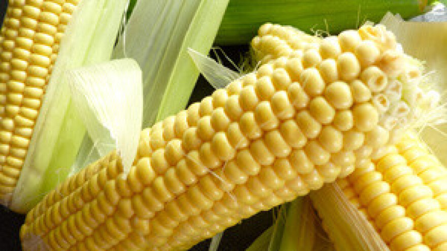 Protiv uvođenja izvoznih carina za pšenicu i kukuruz