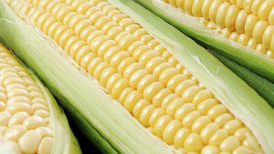 Tko je najviše kriv za rekordan rast cijena hrane?