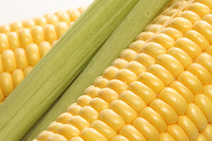 Hrvatska bez GMO-a