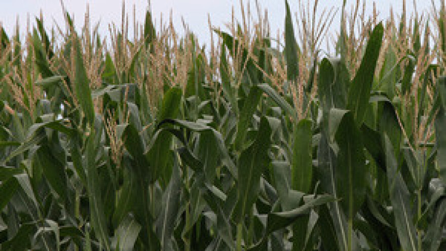 Općine se ne žele odreći novca od zakupa zemljišta