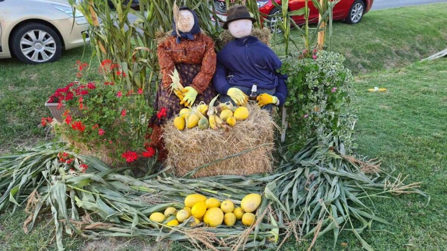 Bliži se Kukuruzijada u Čepinskim Martincima, upišite datum