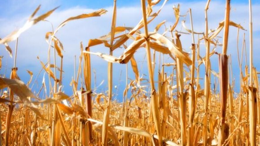 Velike tvrtke seljacima okrenule leđa