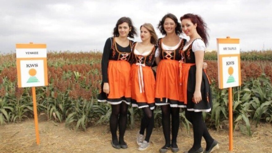 Održan još jedan KWS kamp - festival kukuruza!