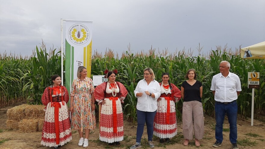 Otvoren je prvi posavski kukuruzni labirint "Hrvatica"