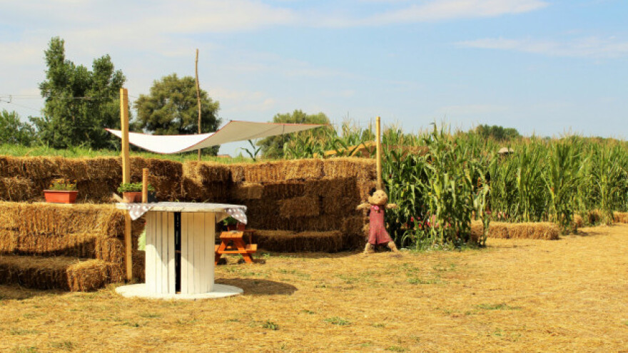 Izgubite se u još zahtjevnijem kukuruznom labirintu!