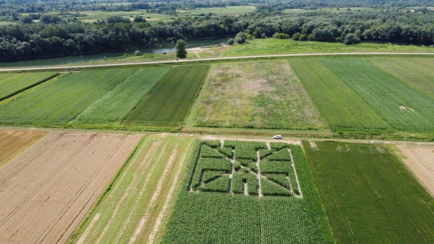 Otvara se prvi posavski kukuruzni labirint “Hrvatica”