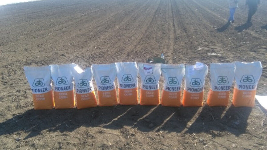 Pioneer predstavio hibride za budućnost