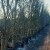 Požar koji se proširio iz privatne, neodržavane šume progutao im oko 550 stabala maslina