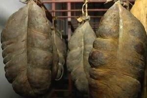 Kada će slavonski kulen biti zaštićen u Europi?