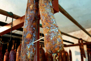 Plijesan na kobasici, slanini, kulenu - poželjna ili ne i kako ju ukloniti?