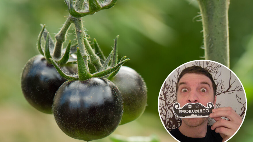 Zdravlje muškaraca - na njega upozoravaju i proizvođači kumata, sočne i čvrste rajčice