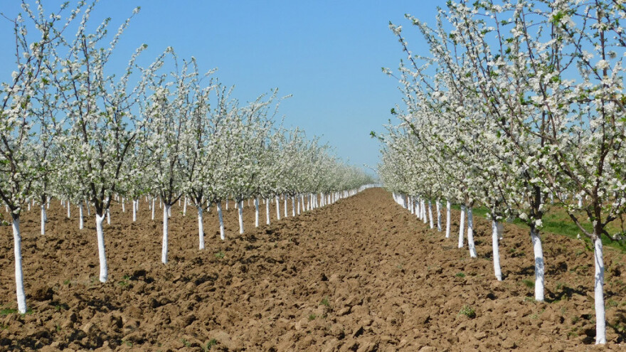 Mladi proizvođači udruživanjem do bolje tržišne pozicije