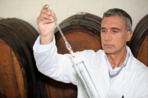 Kupažiranje za bolji kvalitet vina