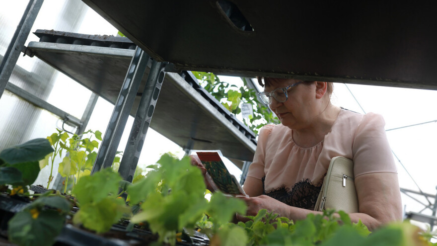 Jeste li agresivan trgovac? Ili njegova žrtva?