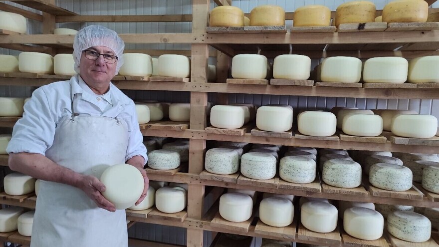 Zlatom okićen kupreški sir: "Ova država ne zaslužuje nas proizvođače"