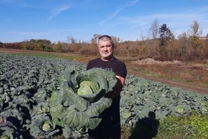 Muzičar koji je "zasvirao" i u polju: Kako je Goran Živanović od hobija napravio posao