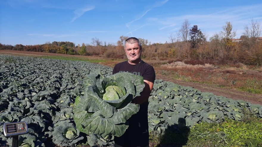Muzičar koji je "zasvirao" i u polju: Kako je Goran Živanović od hobija napravio posao