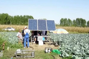 Poljoprivrednicima u Vojvodini 227 miliona dinara