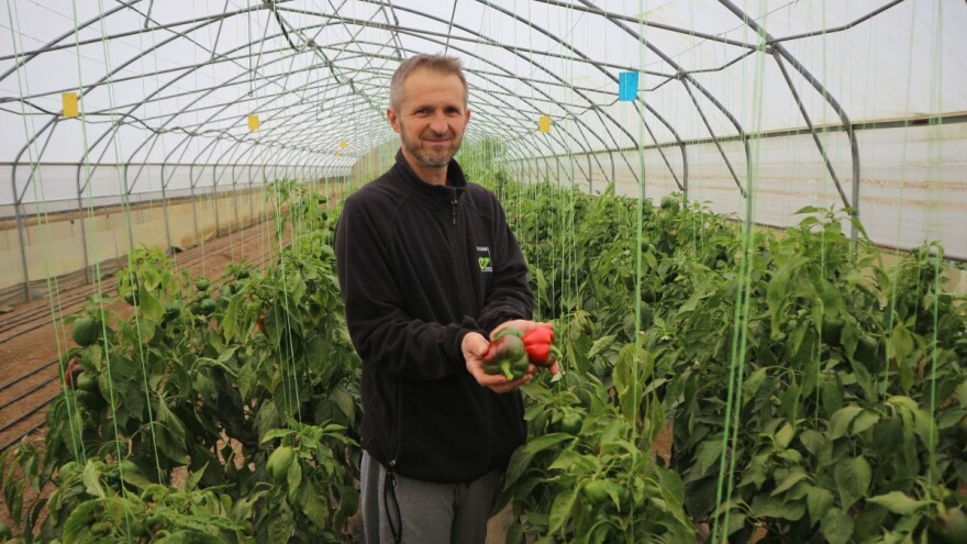 Ove godine proizveli i prodali 200 tona raznog povrća