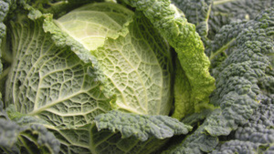 Sustavom navodnjavanja do zadovoljavajućih prinosa