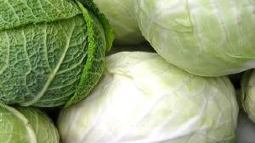 Mjere u zaštiti kupusa