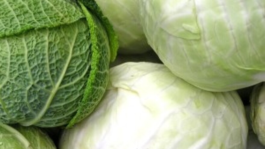 Varaždinsko zelje na EU sortnoj listi