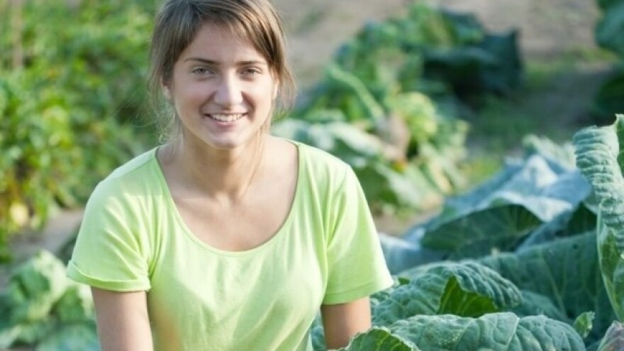 Slovenija ne odustaje od varaždinskog zelja