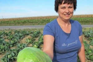 Najviše se isplati kupus kupiti kod uzgajivača