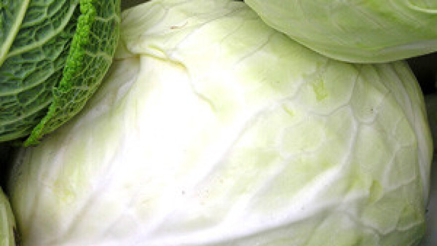 Pobijedio sušu jer je ulagao u navodnjavanje