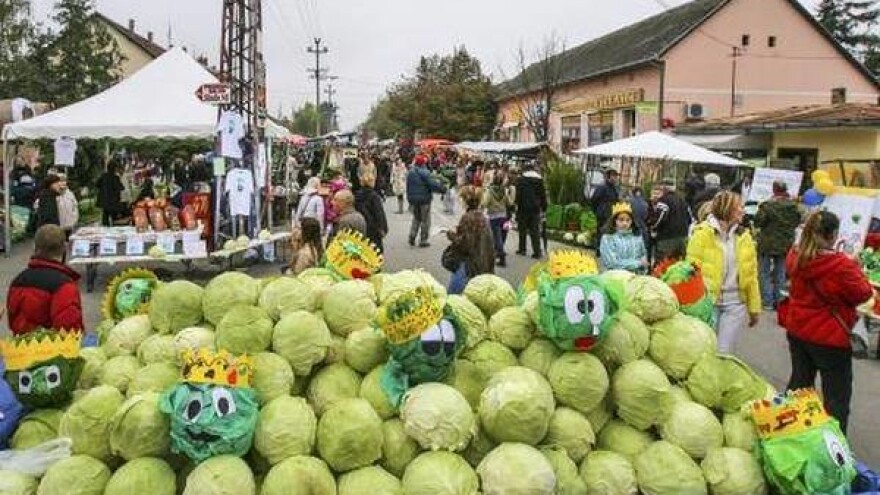 Futoška kupusijada - posvećena autohtonoj sorti