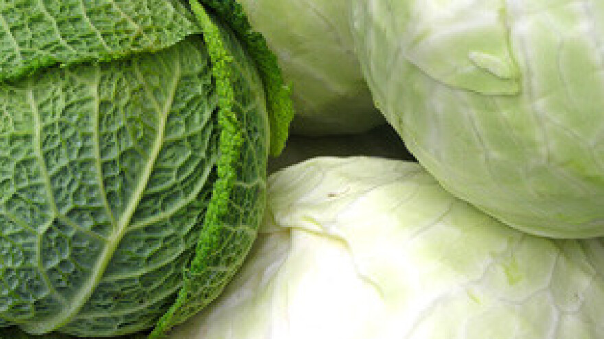 Krenula isporuka povrća sa sinjskih njiva