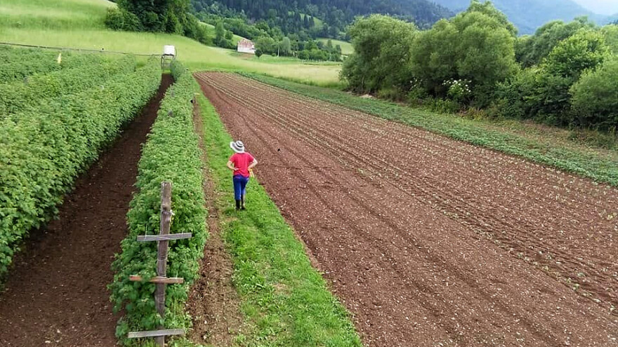 Više novaca za male poljoprivrednike - brzo rješenje u ostvarenju klimatskih ciljeva?