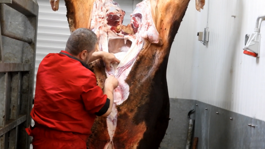 Preporuke za klanje kurbana, zbrinjavanje mesa i otpada
