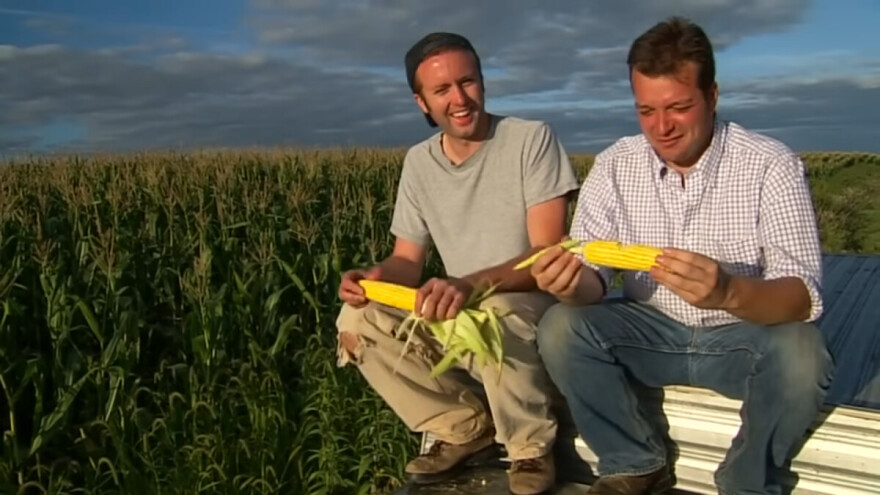 Priča o kukuruzu, šećeru i trbusima koji nezaustavljivo rastu