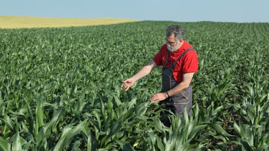 12 mjeseci od ruskog embarga - EU izvozi više!