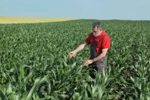 12 meseci ruskog embarga - EU izvozi više!