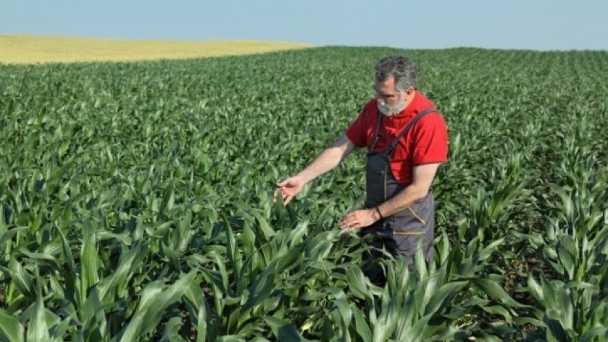 12 meseci ruskog embarga - EU izvozi više!