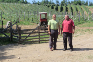 Kušići iz Rogatice zapuštenu ledinu pretvorili u imanje za uzor, a šire i nasad malina