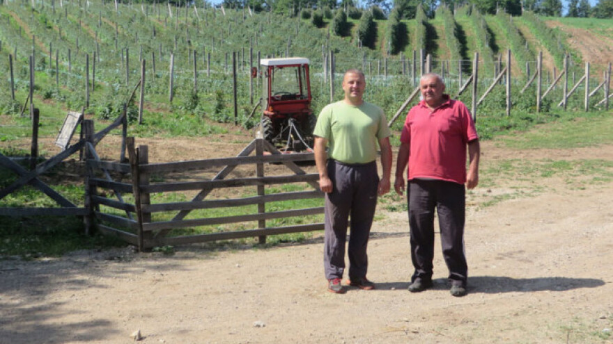 Kušići iz Rogatice zapuštenu ledinu pretvorili u imanje za uzor, a šire i nasad malina